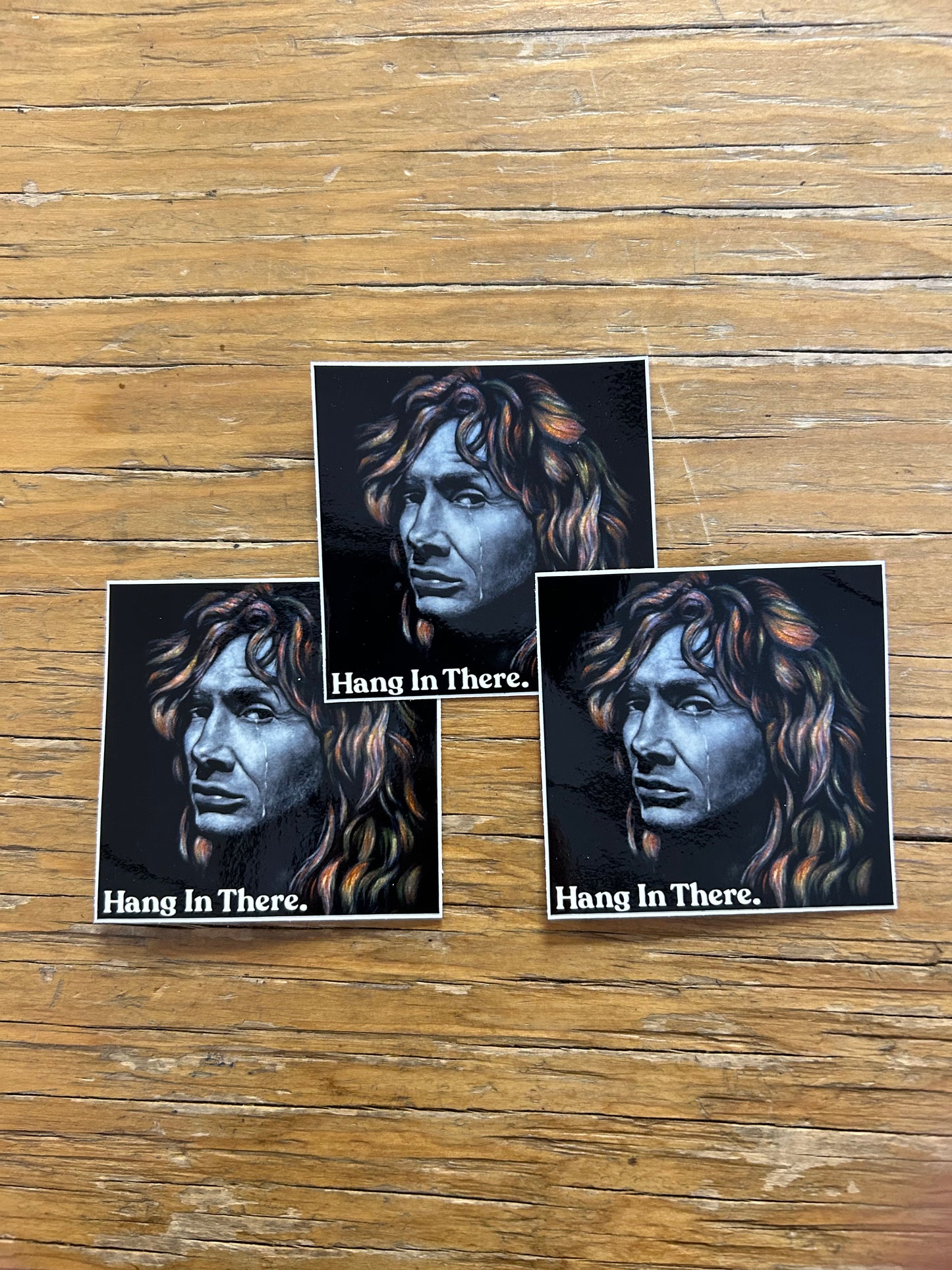 HANG IN THERE - STICKER